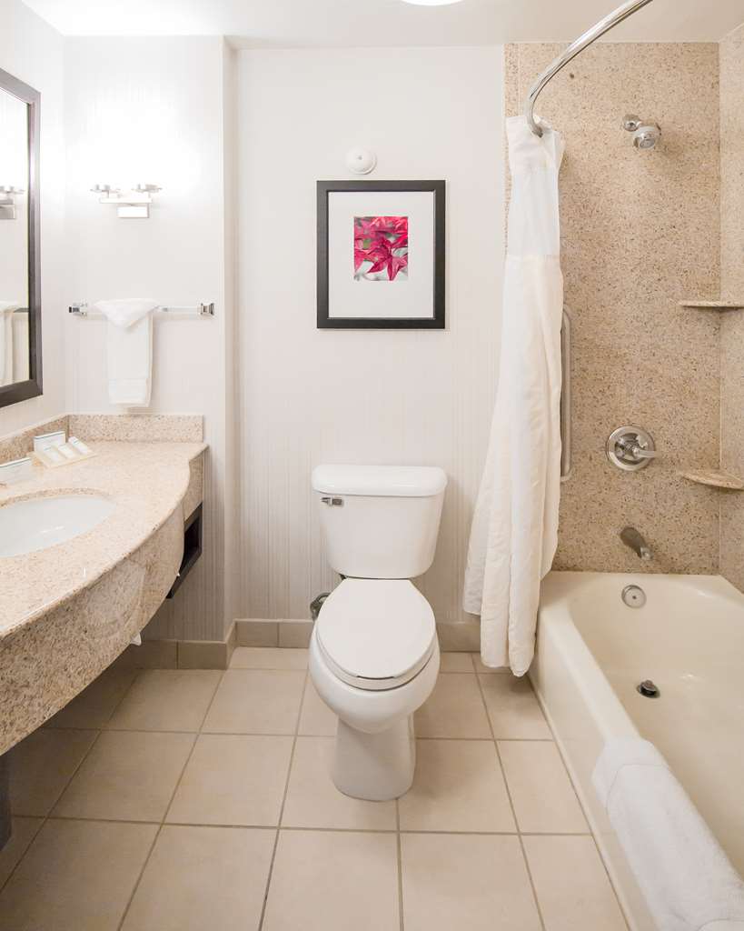 Фото Hilton Garden Inn Phoenix/Avondale