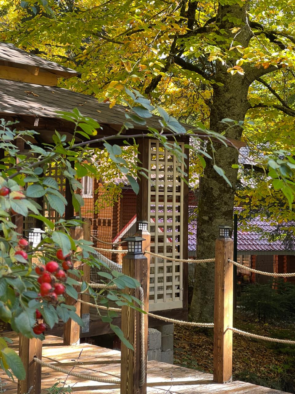 Фото Chalet Monte