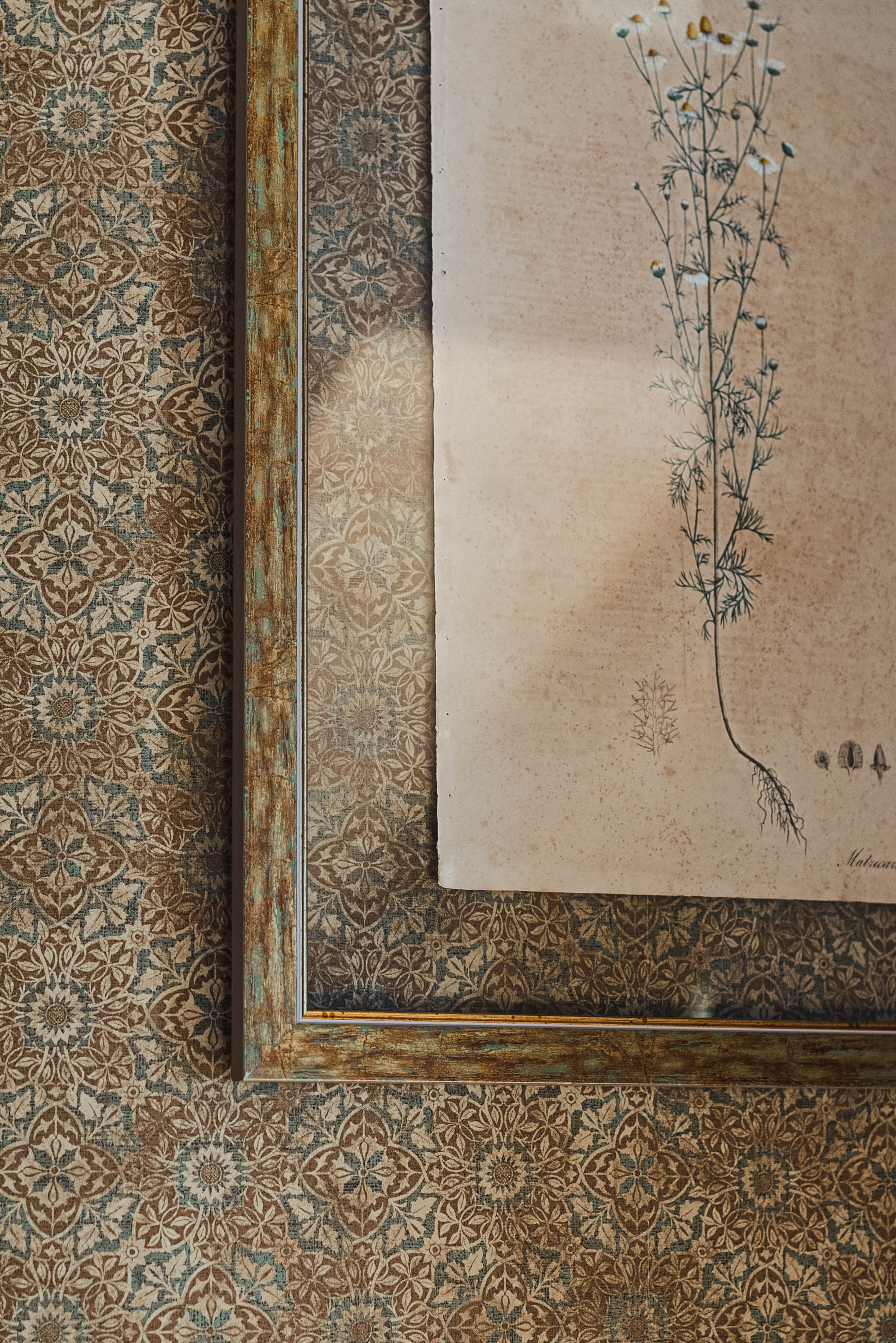 Фото Дом Солнца