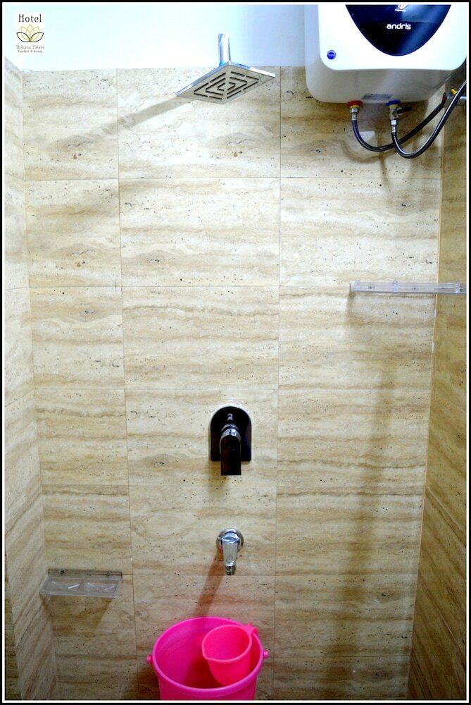 Фото Hotel Thikana Palace