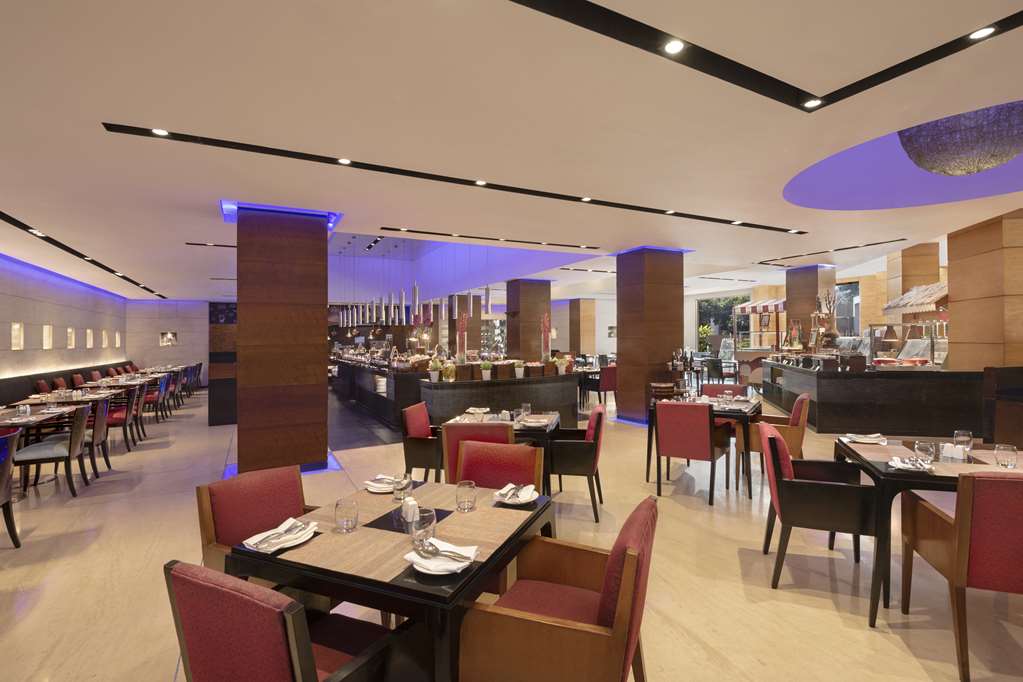 Фото Radisson Blu Plaza Hotel, Delhi Airport