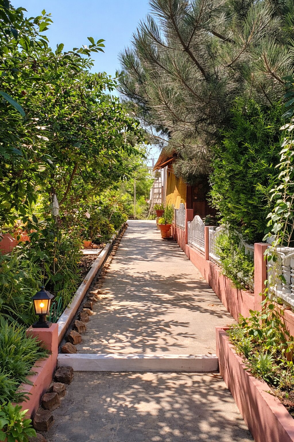 Фото Лукулл
