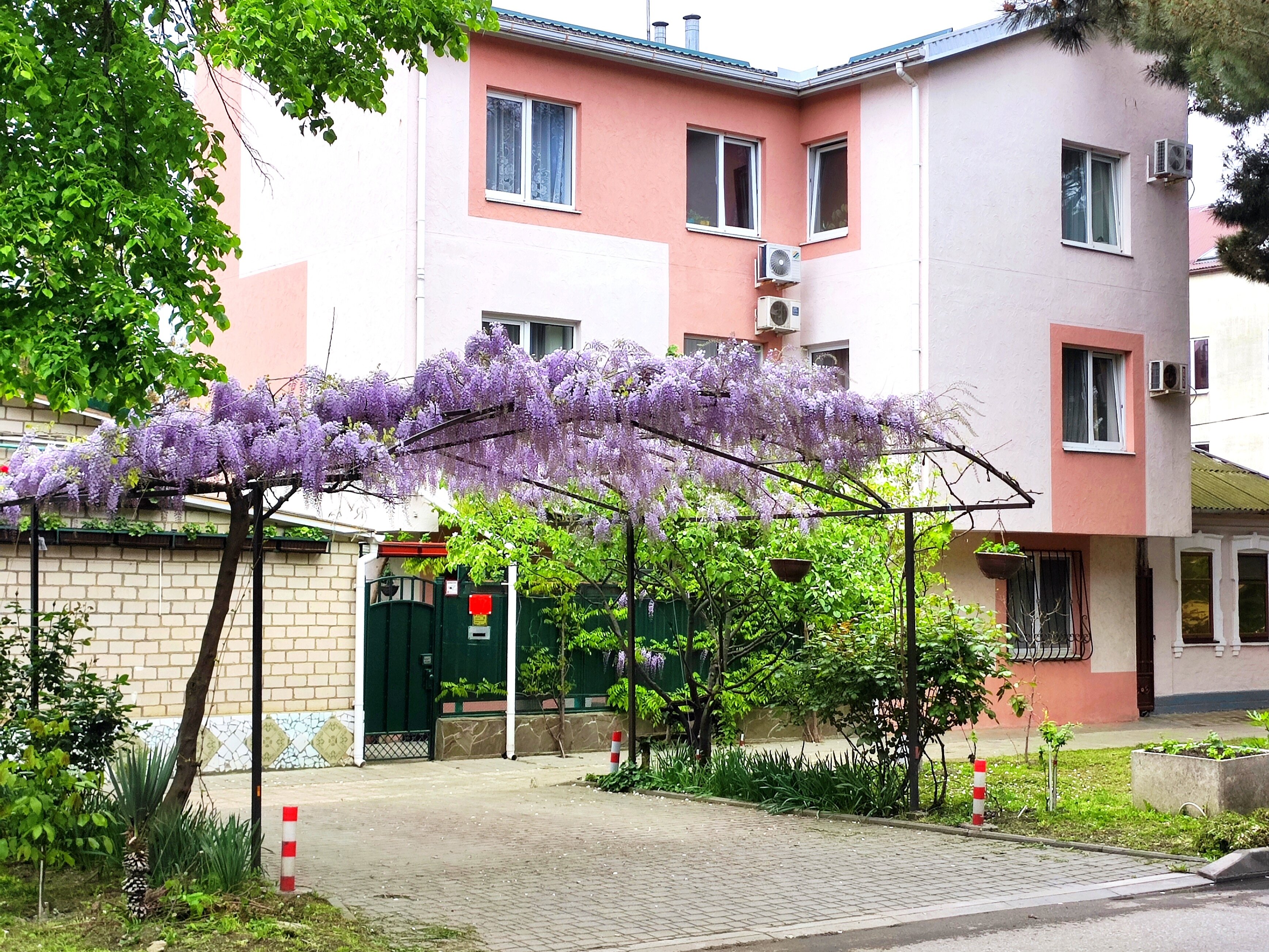 Фото Мария