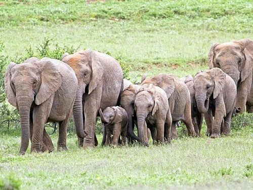 Внешний вид отеля Gerald's Gift Guest House в Муниципалитете долинах реках Сандейзе, фото 4