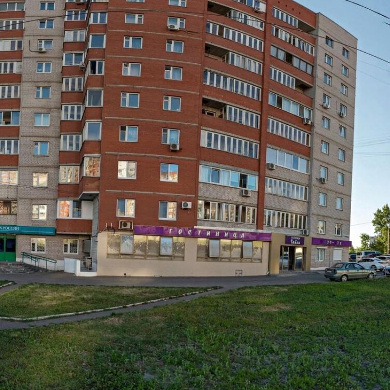 Фото Чайка