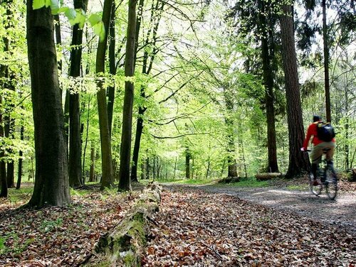 Гостиница Dolce by Wyndham La Hulpe Brussels в Валлонском Брабанте