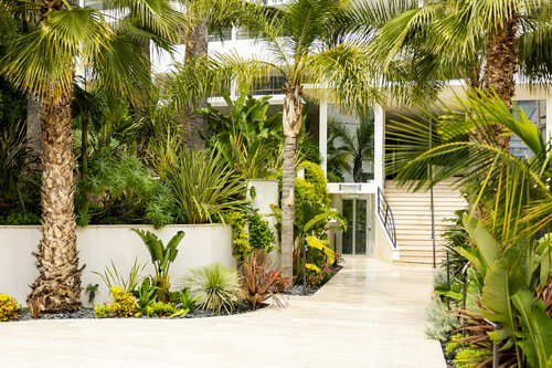 Гостиница Staybridge Suites Cannes Centre by IHG в Каннах