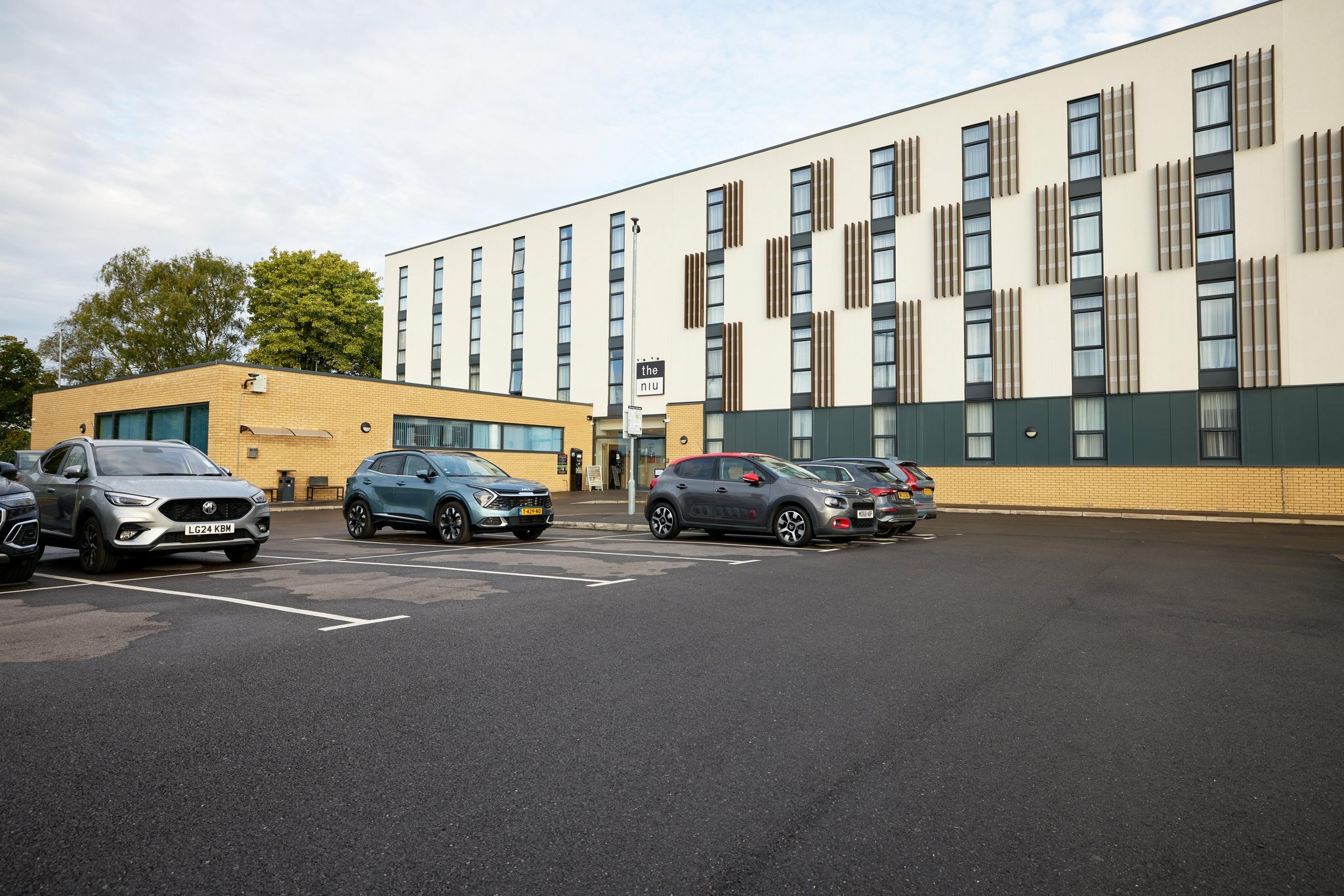 Фото The niu Loom