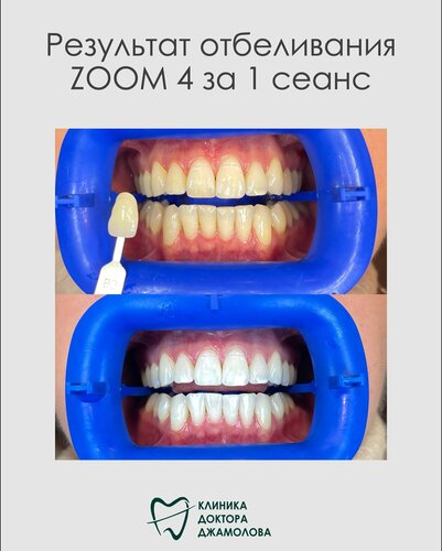Услуги
