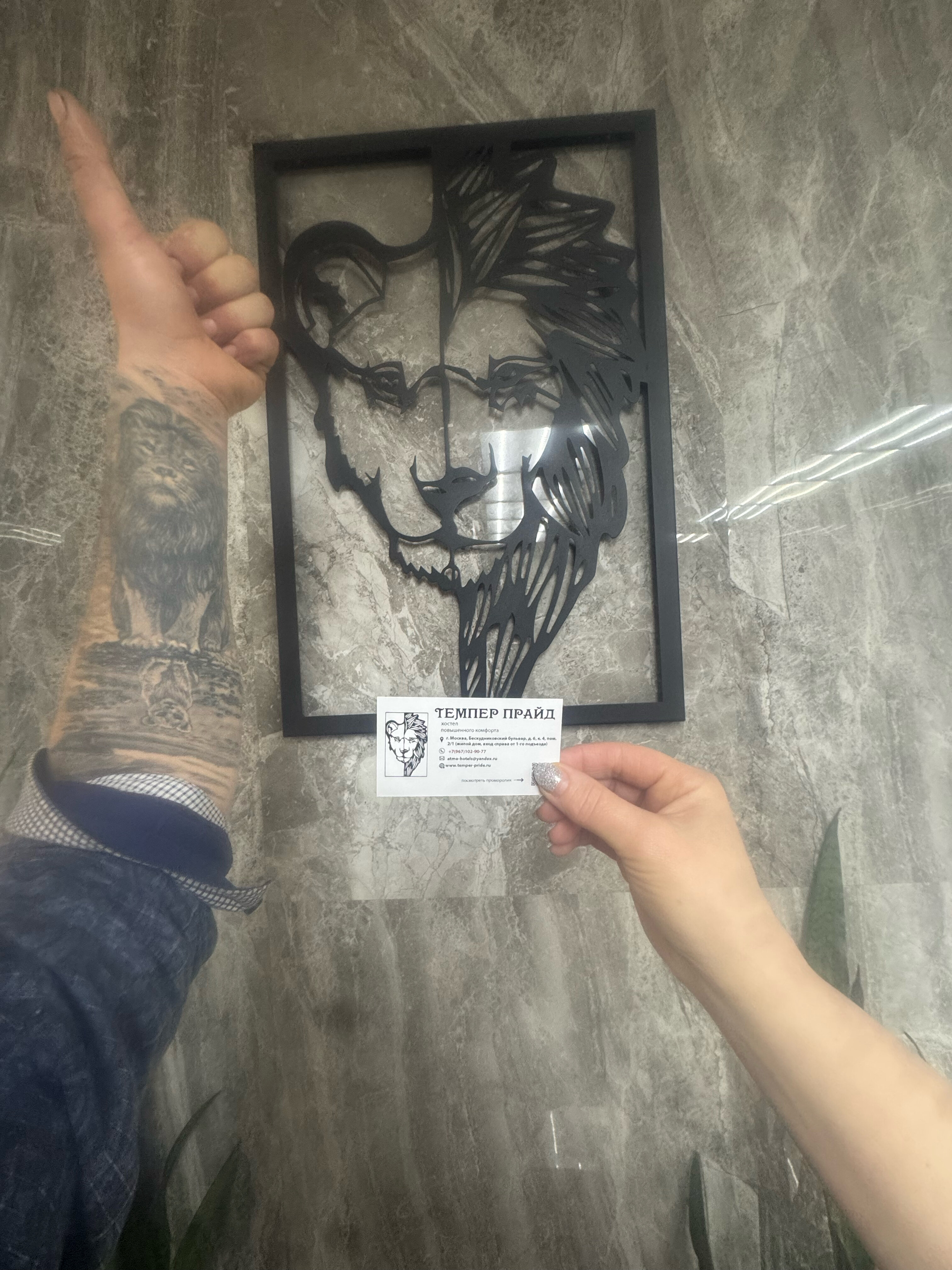 Фото Темпер Прайд