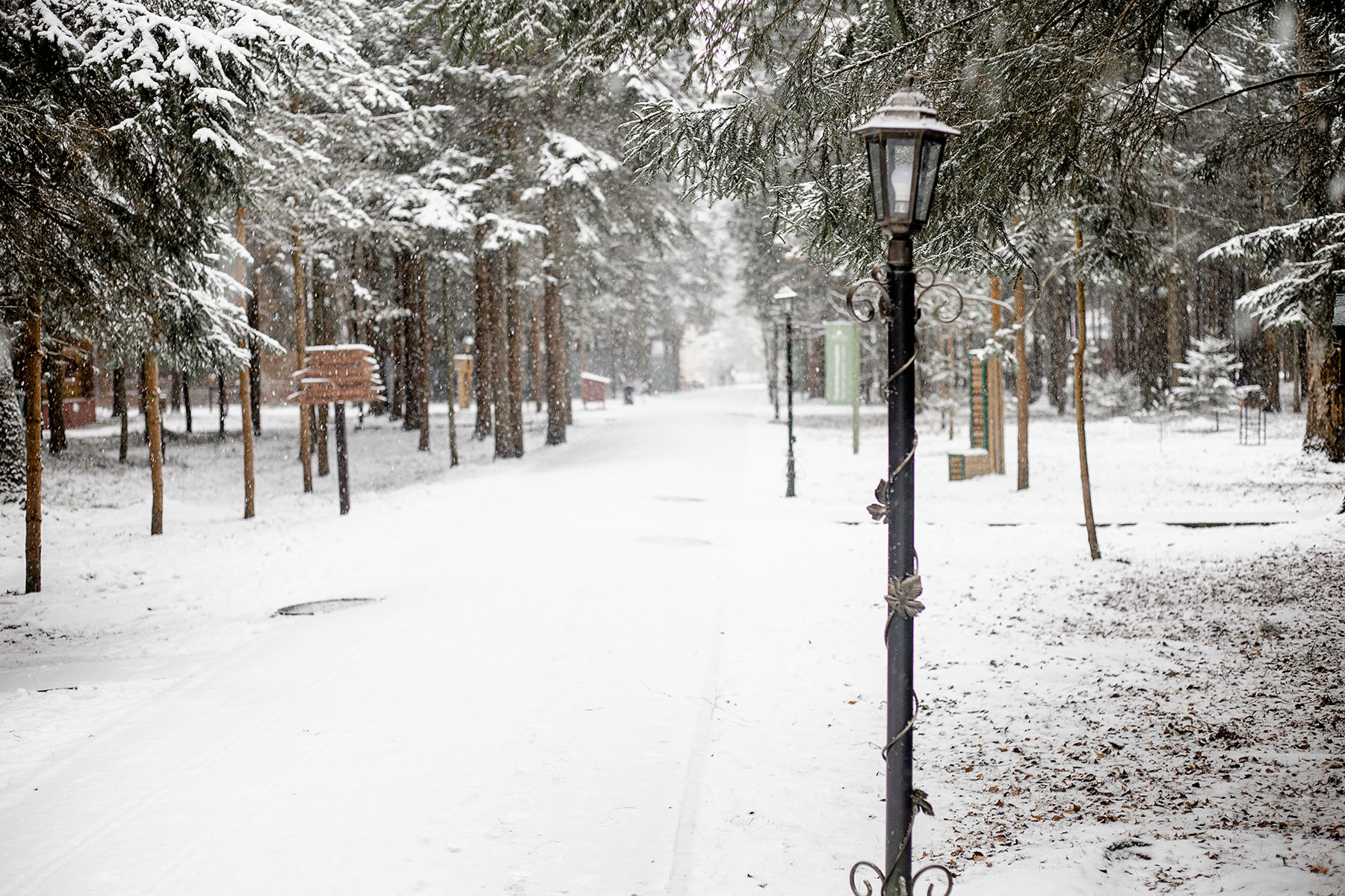 Фото Истра Холидей