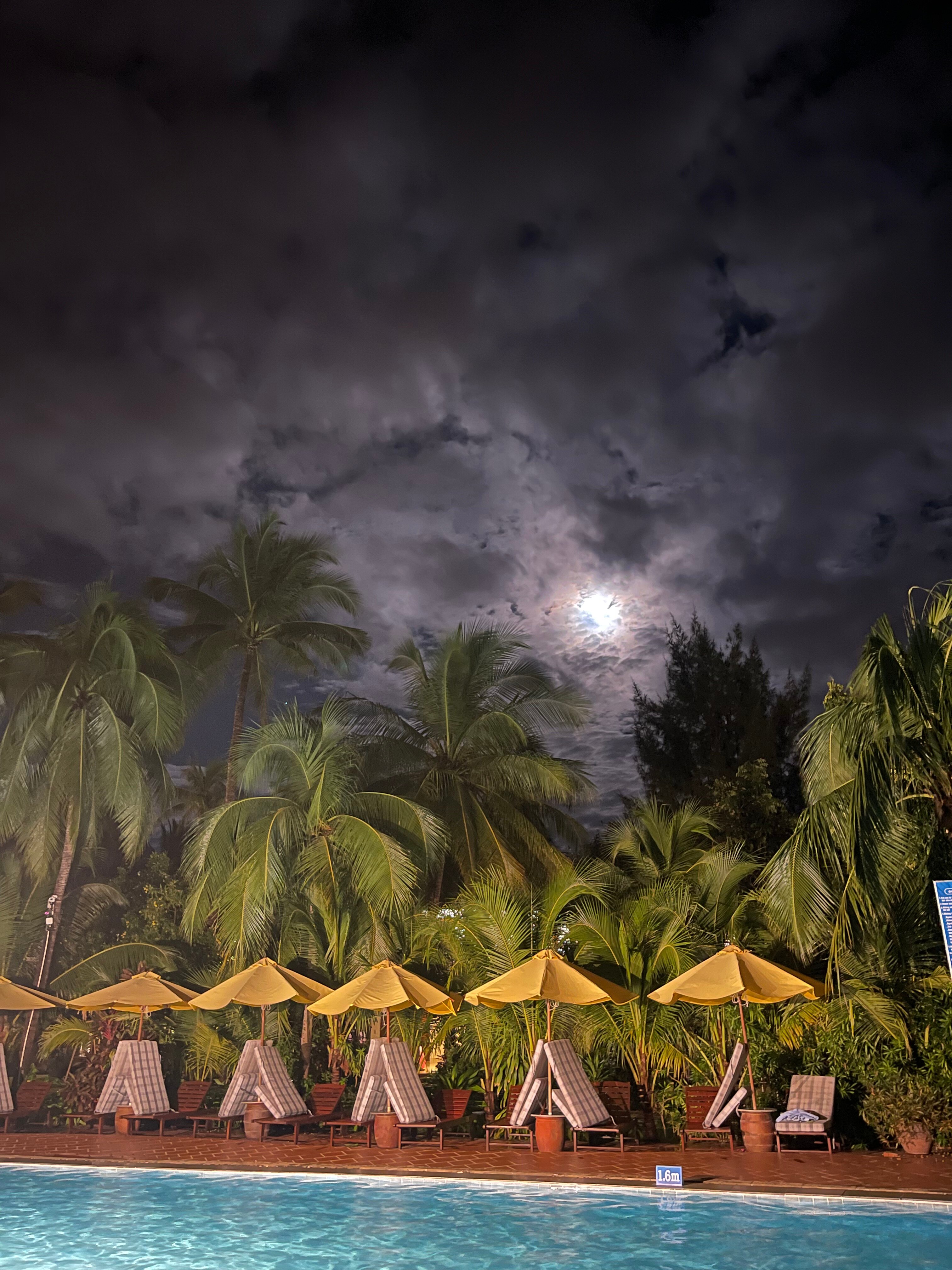 Фото Four Oceans Resort Muine