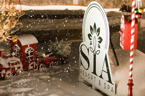 Гостиница Sia Resort & SPA в Цахкадзоре