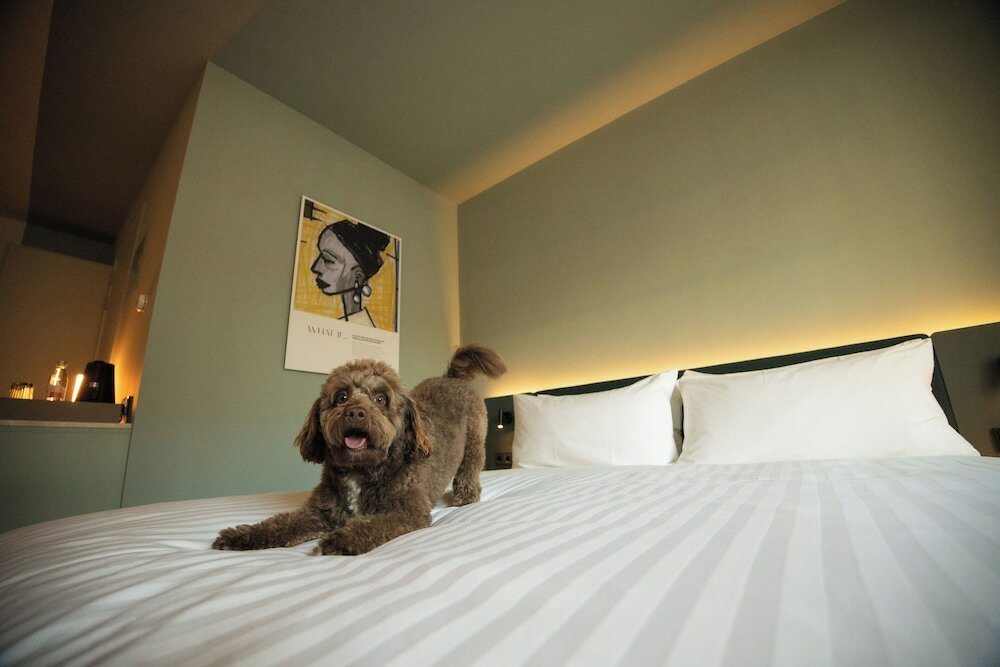 Фото The Rebyl, Nijmegen, a Tribute Portfolio Hotel
