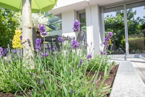 Гостиница NumberOne Hotel в Нюрнберге