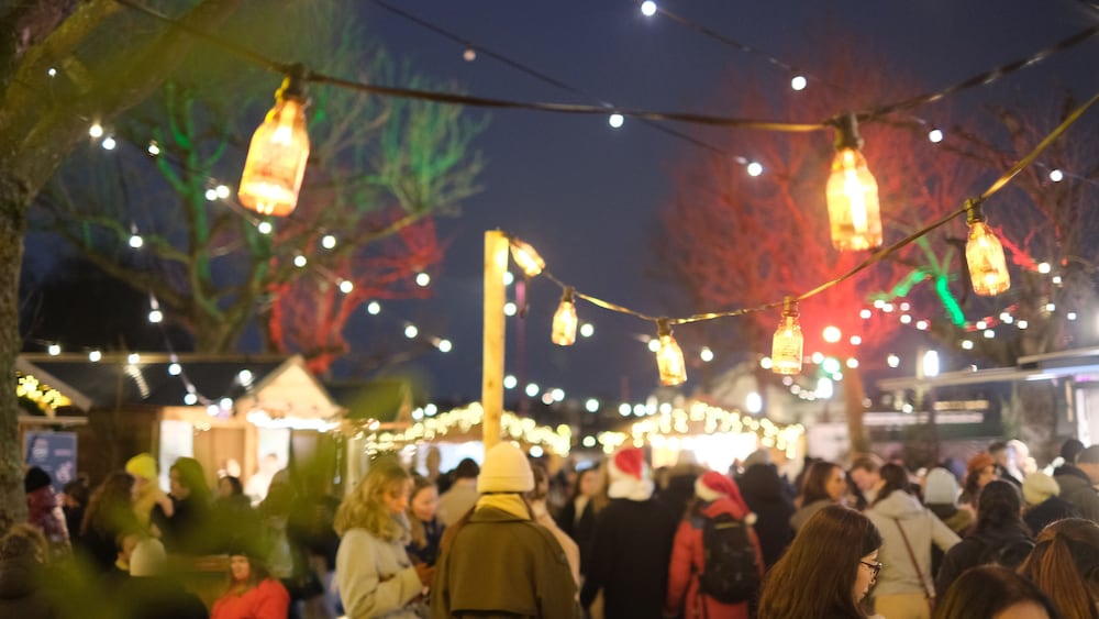 Фото Pillows Anna van den Vondel