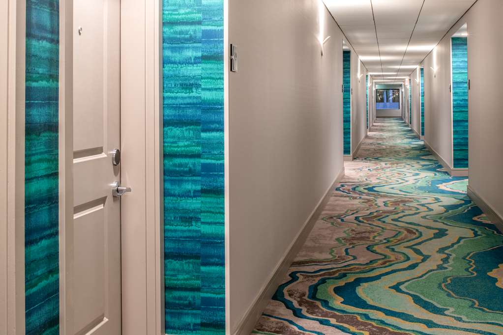 Фото Homewood Suites by Hilton Belmont