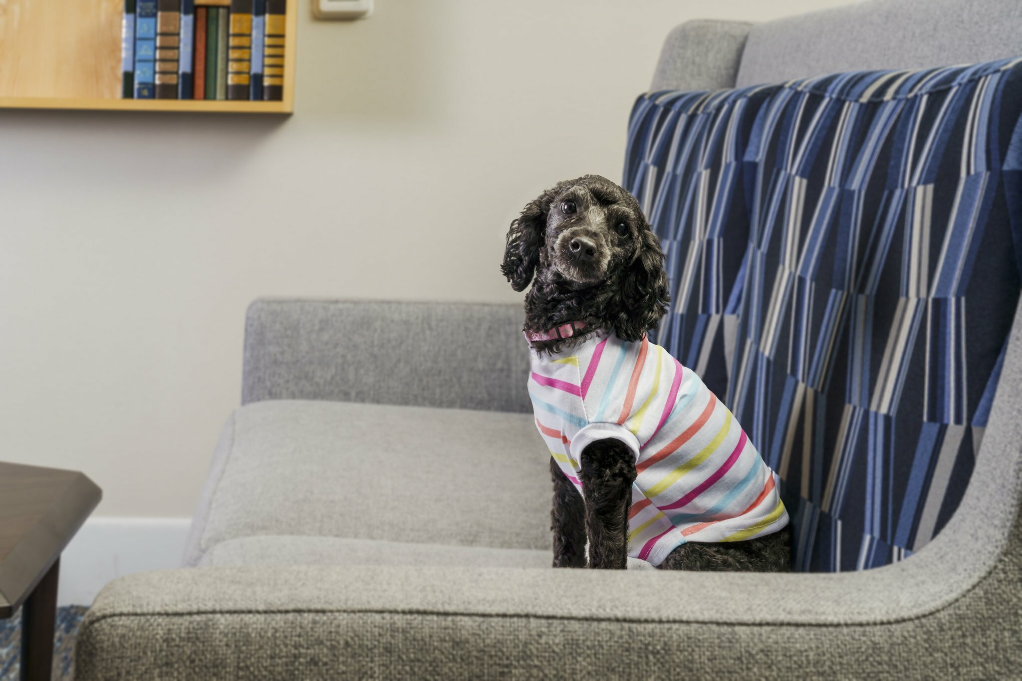 Фото Holiday Inn Express Rochester Ne- Irondequoit, an Ihg Hotel