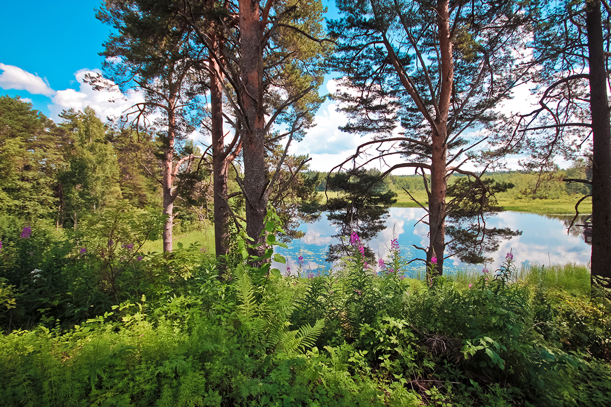 Фото Алёнушка