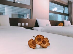 Гостиница Fine Hotel