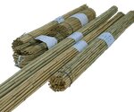 Zelensnab (Bolshevo Microdistrict, Pushkinskaya Street, 17), garden tools and equipment