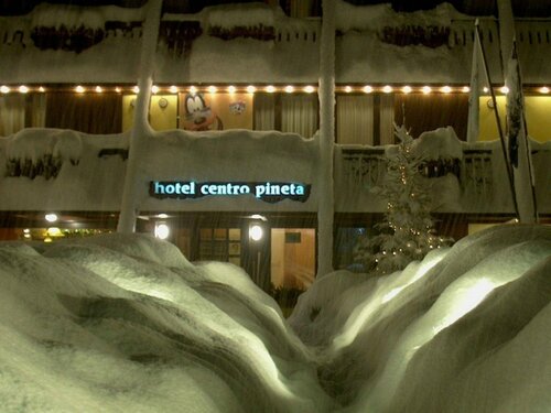 Внешний вид отеля Centro Pineta Family Hotel & Wellness в Пинцоле, фото 1