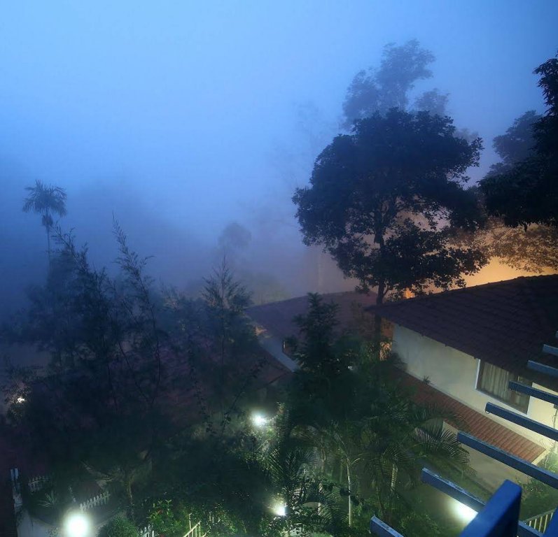 Фото The New Whispering Meadows