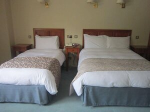 Гостиница Blarney Castle Hotel
