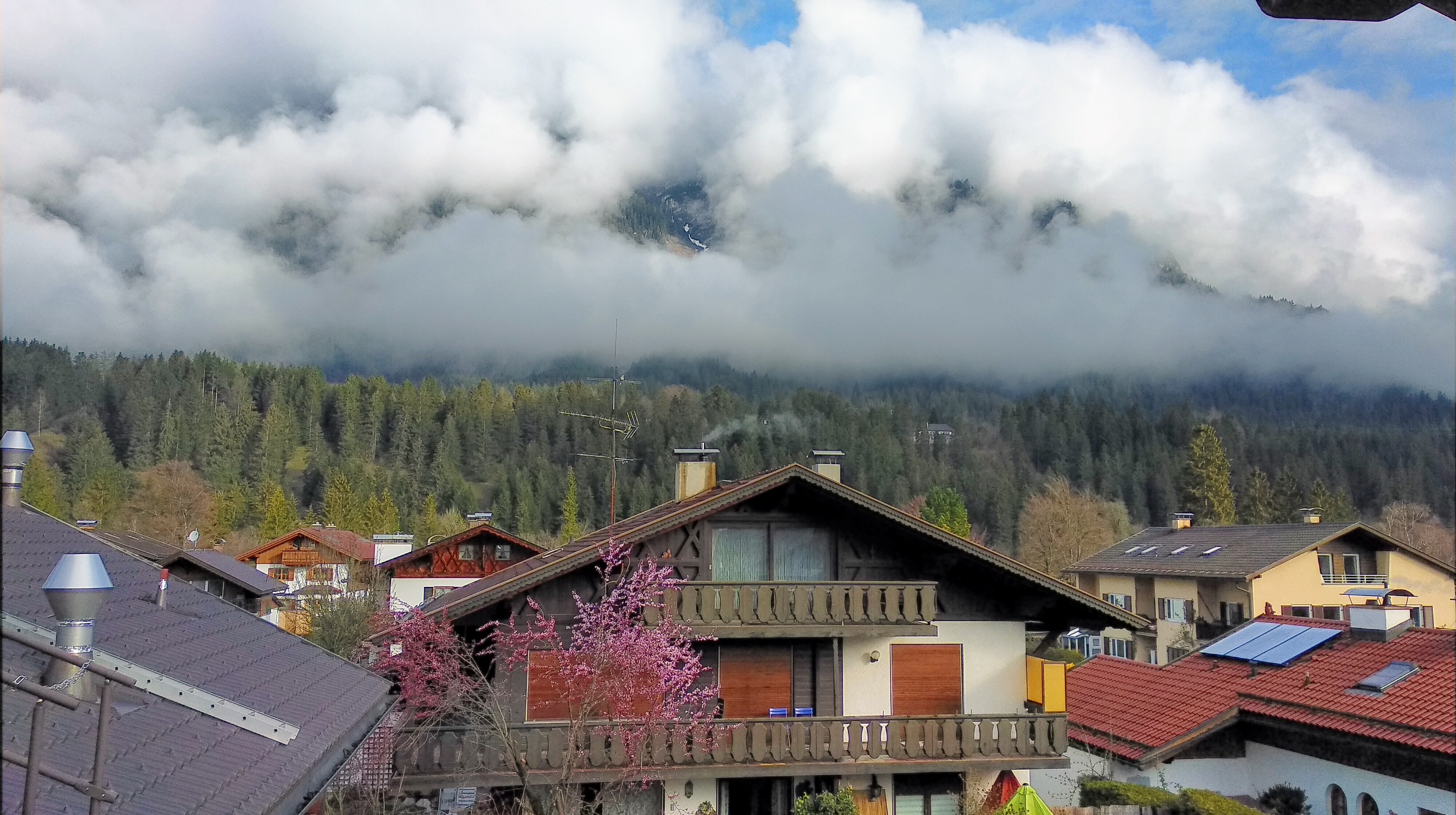 Фото Hotel Rheinischer Hof