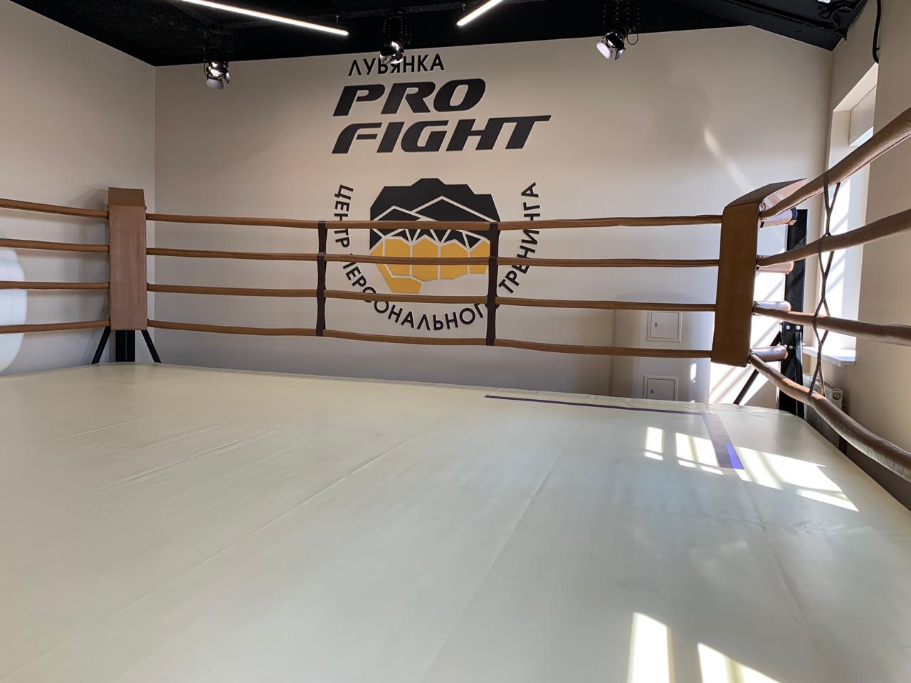 Professional Fight Club