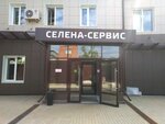 Селена-Сервис (просп. Станке Димитрова, 28), ремонт бытовой техники в Брянске