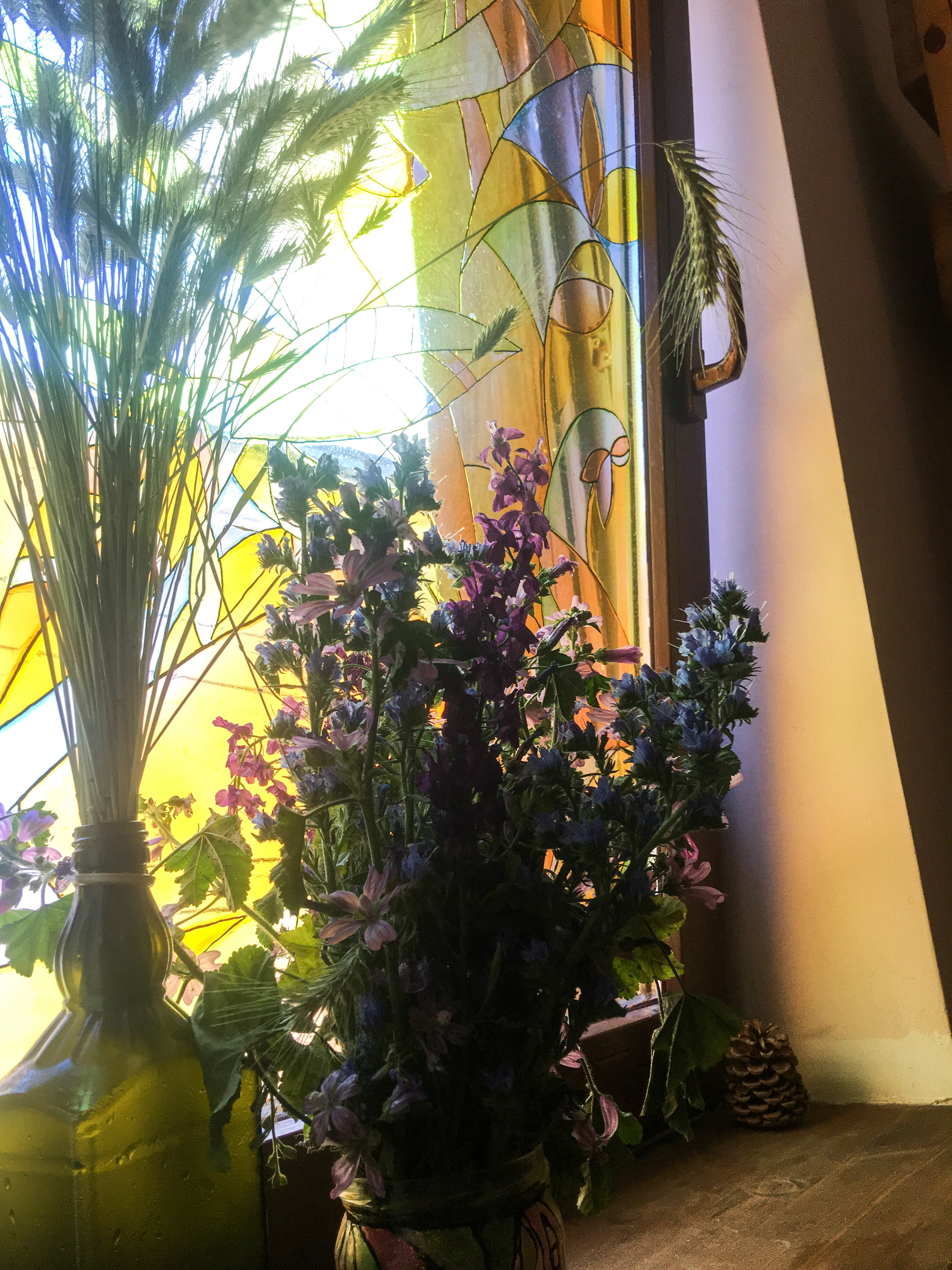 Фото Лисьи сны