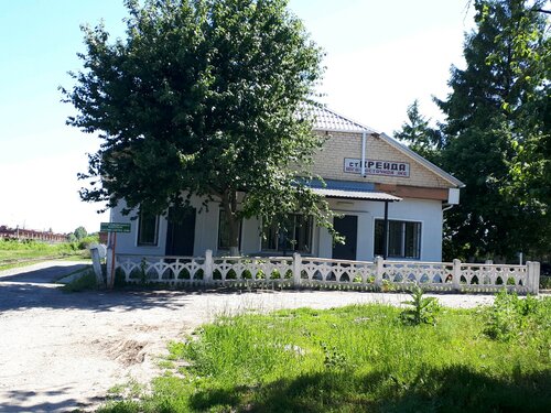 Жас әдемі таз киска