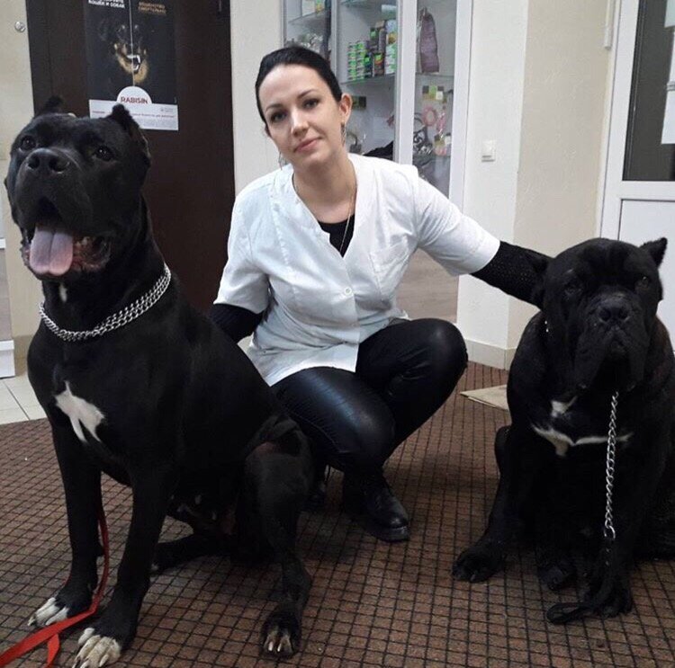 Veterinary clinic Dr. Bazylevsky Veterinary Center, Navapolatsk, photo