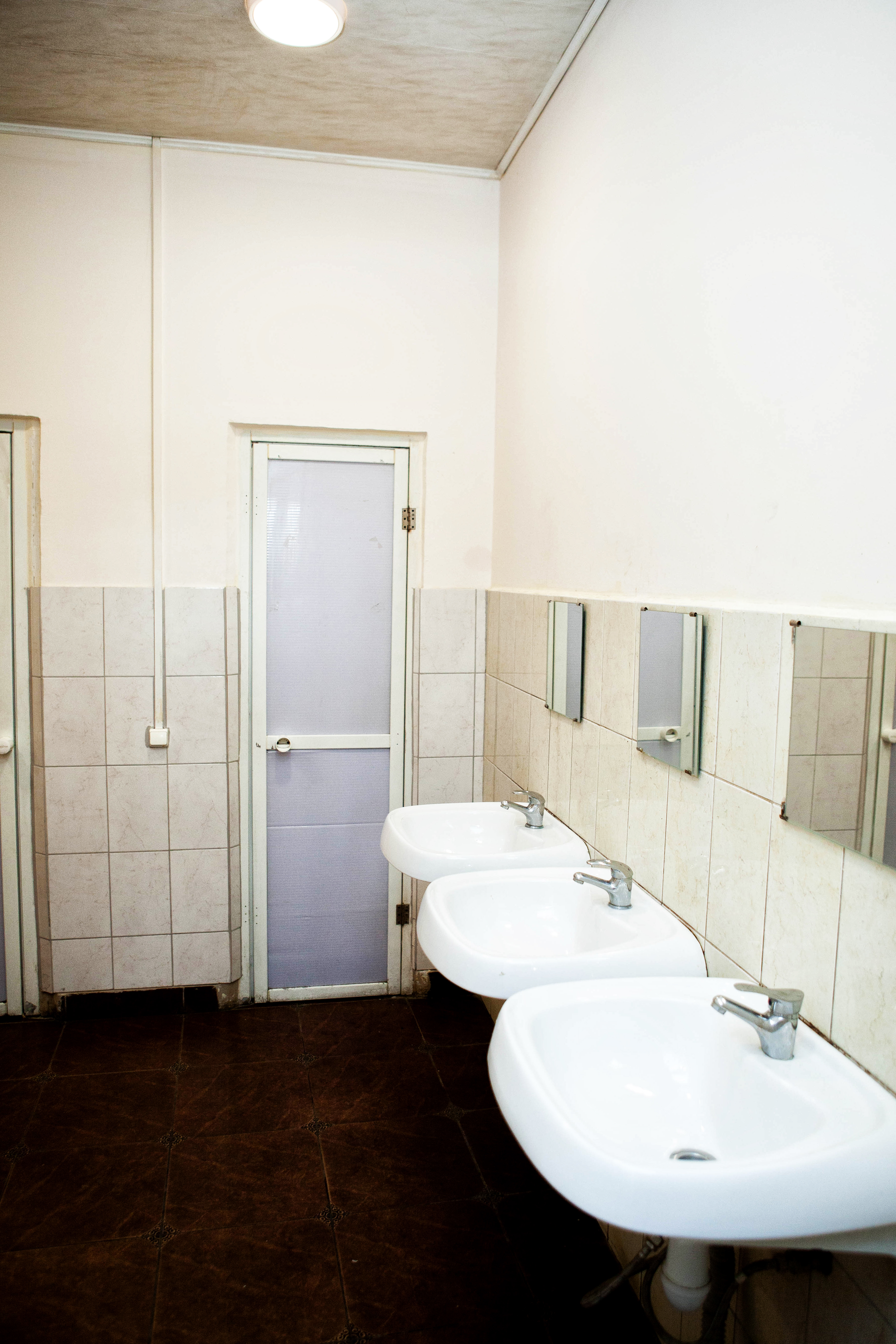 Фото Вежливый Лось