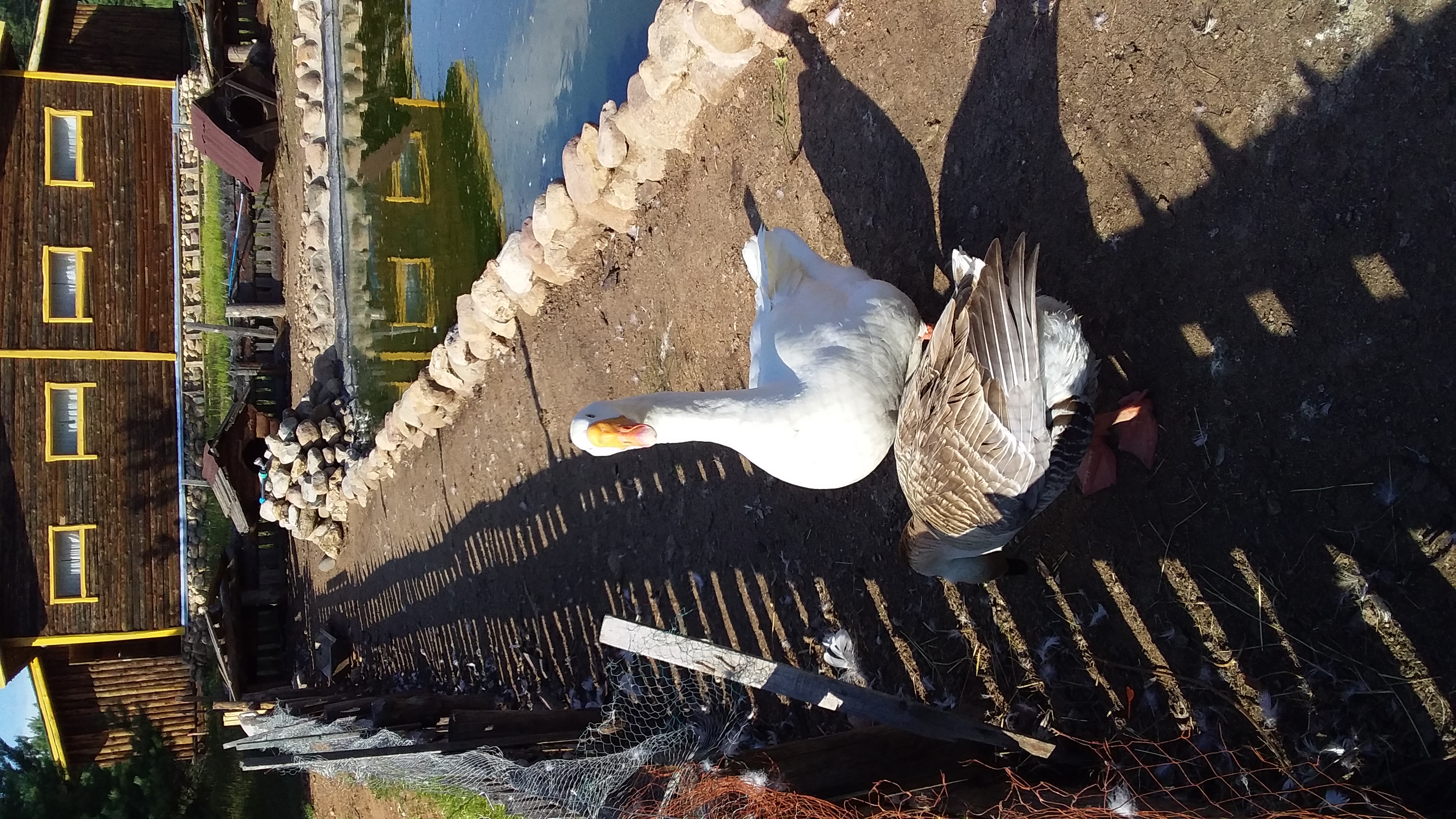 Фото Киногородок