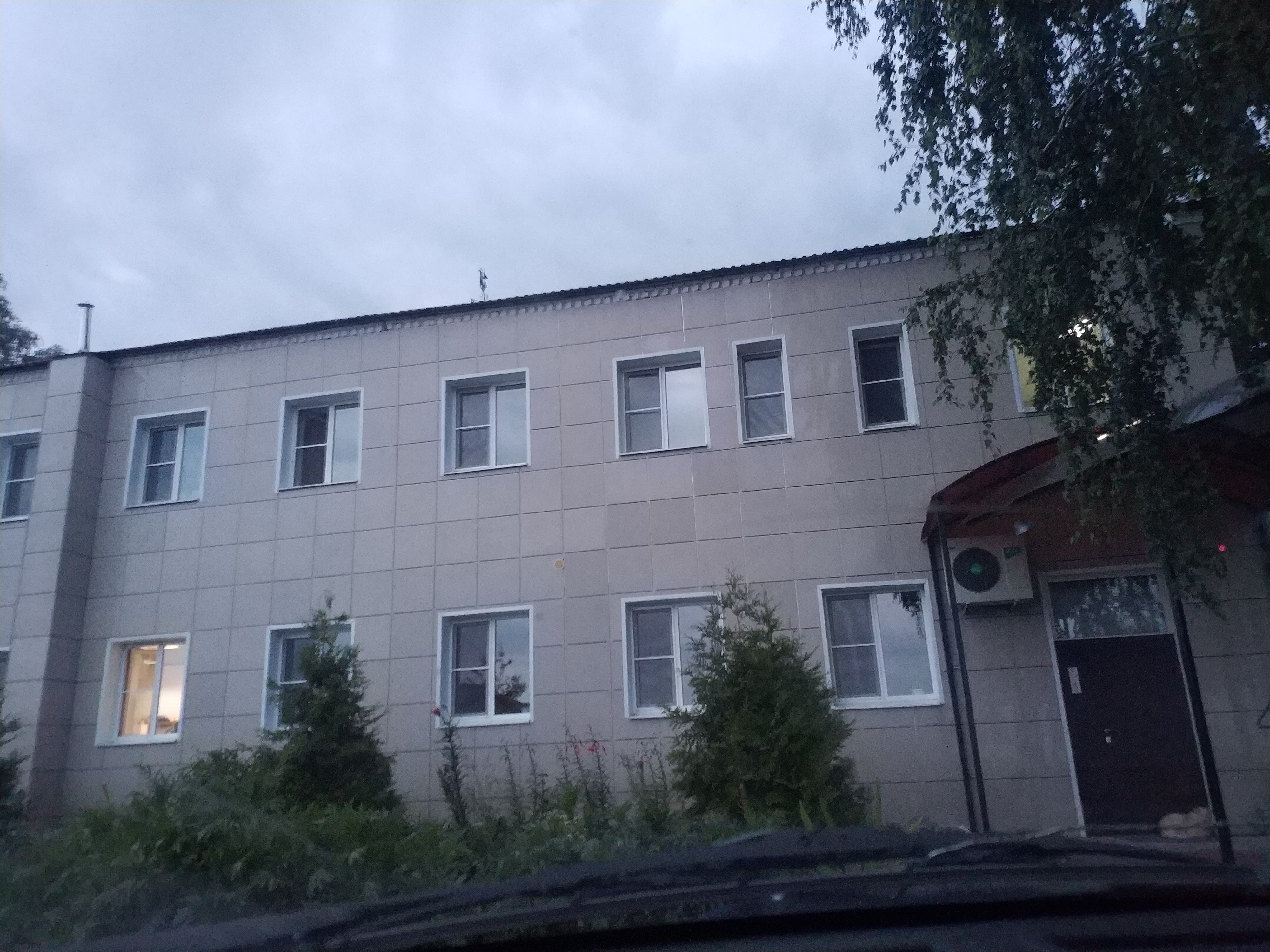 Фото Кузнечик