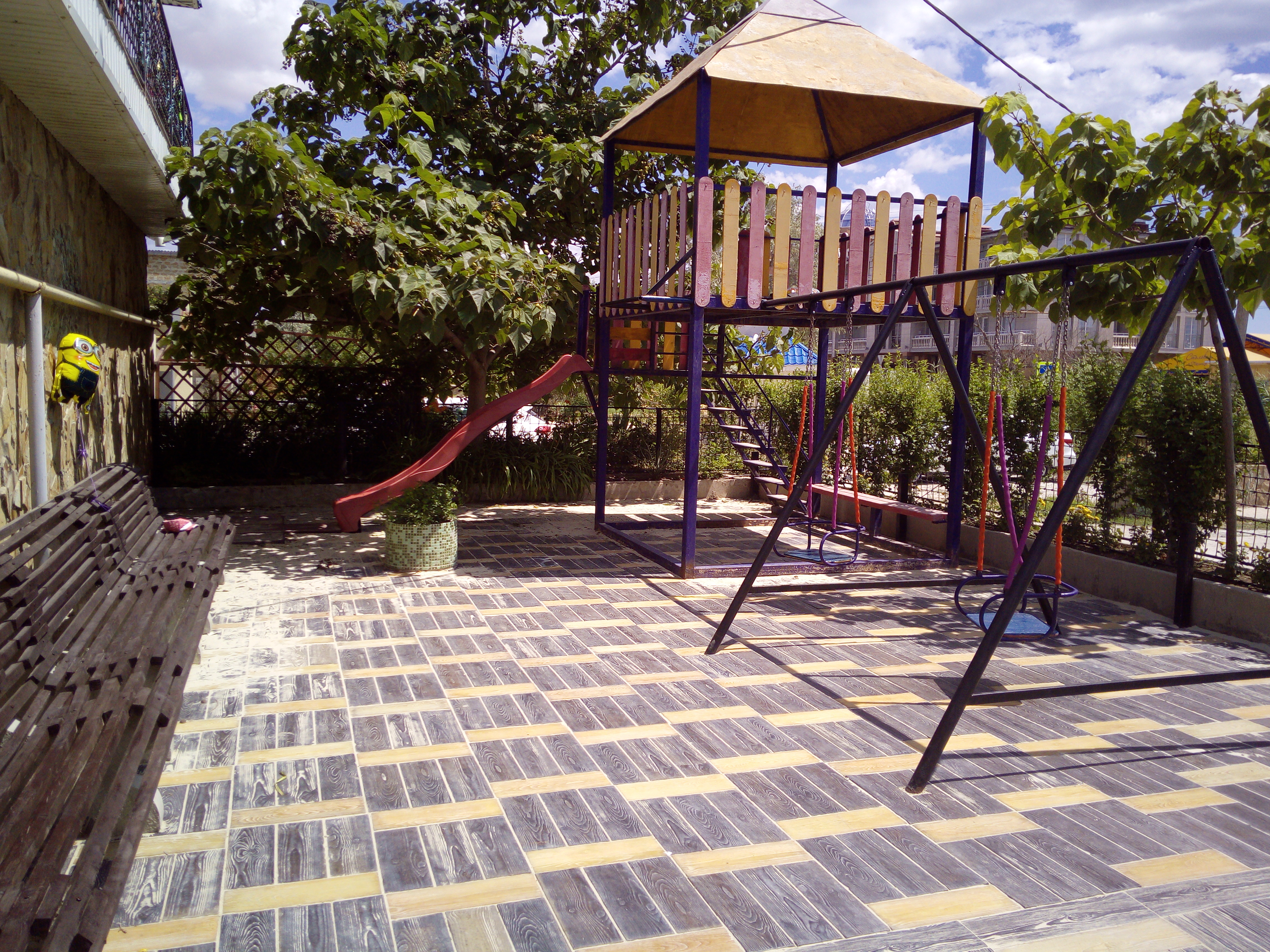 Фото Золотая рыбка