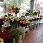 Надежда (ул. Савушкина, 8, Санкт-Петербург), магазин цветов в Санкт‑Петербурге