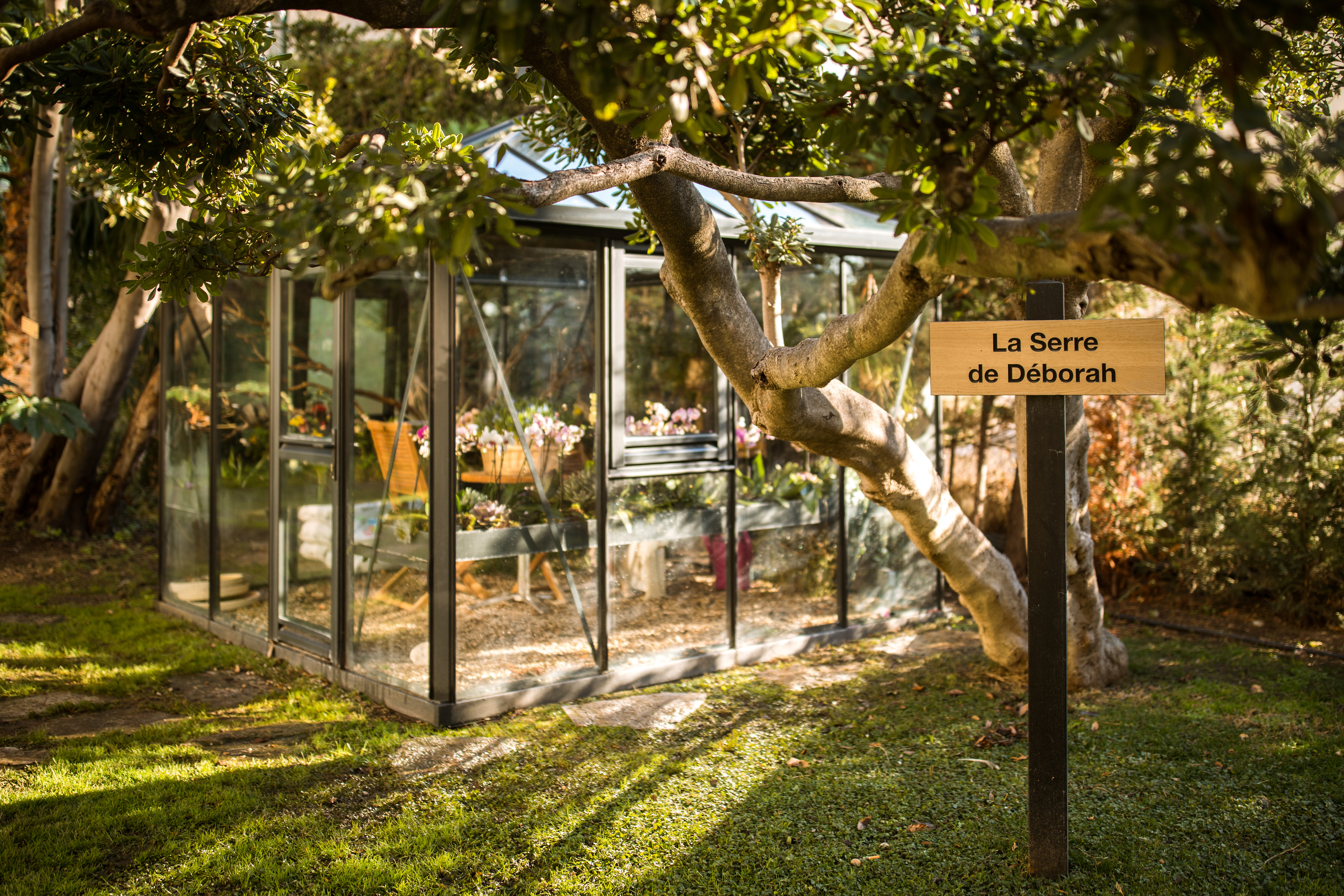 Фото Mondrian Cannes