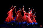 Flamenco Udelnaya (Udelnaya Township, Solnechnaya ulitsa, 35), dance school