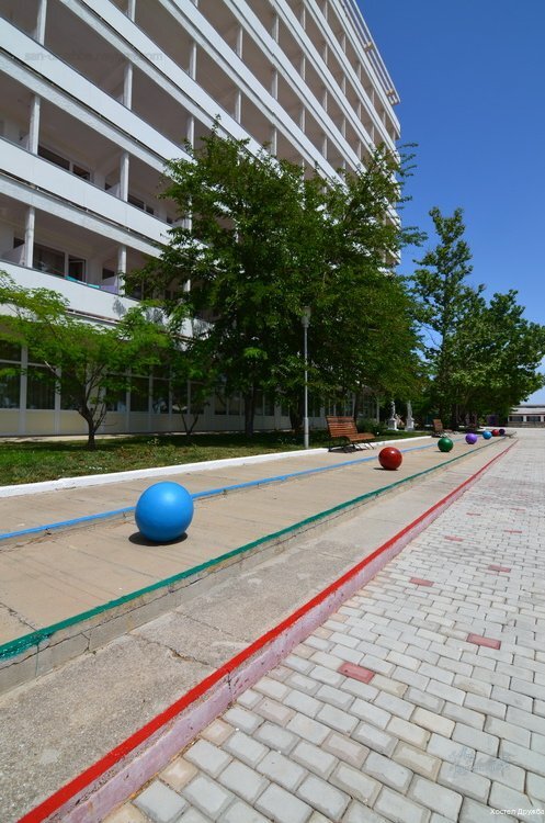 Фото Дружба