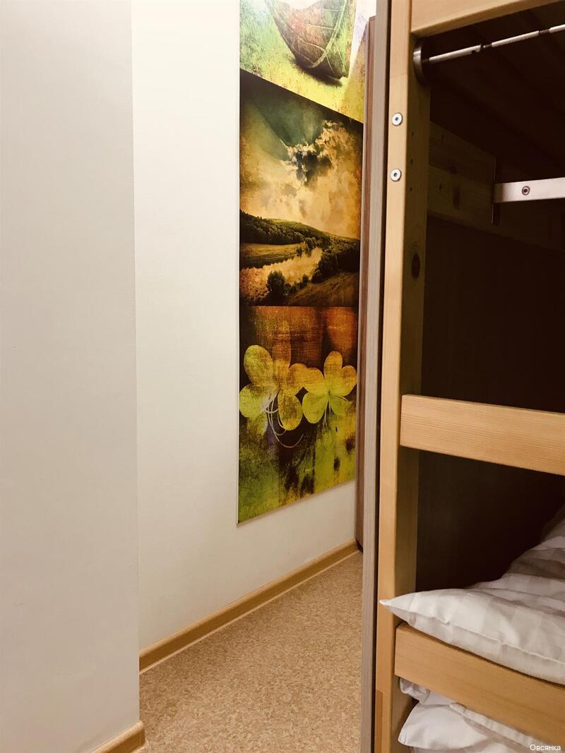 Фото Овсянка