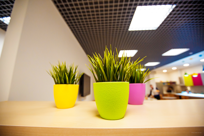 Фото Симпатико