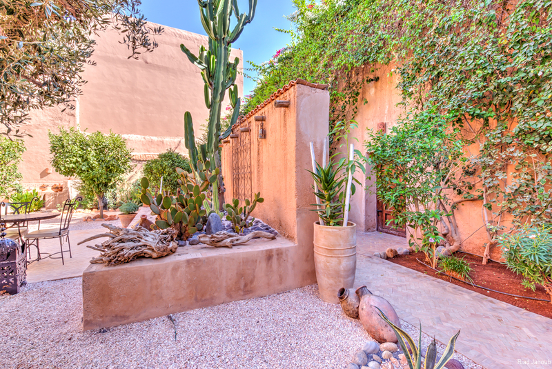 Фото Riad Janoub