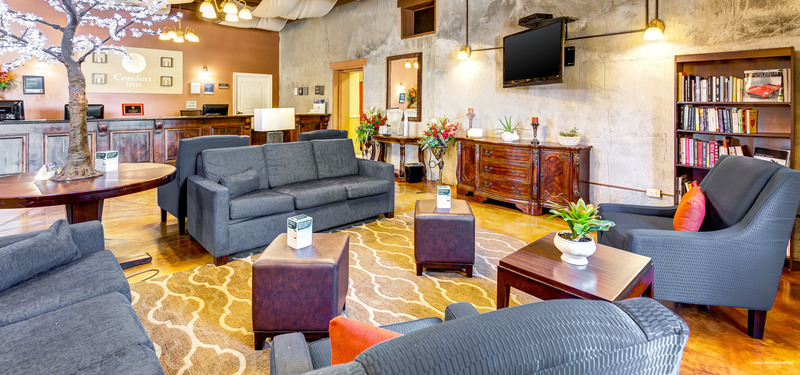 Фото Comfort Inn Pomona near Fairplex