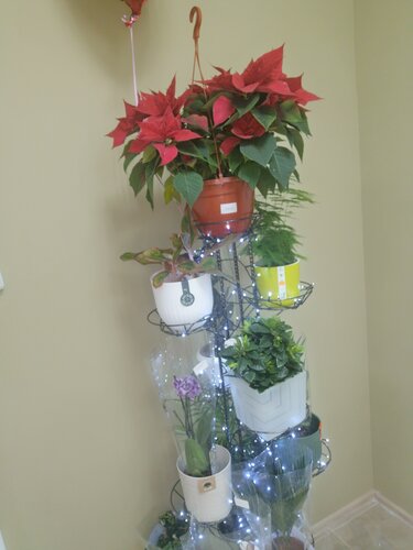 Неміс порно ескі әйелдер