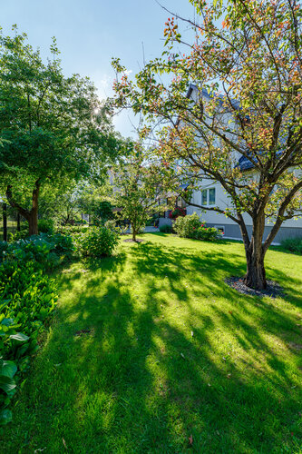 Внешний вид отеля На Каштановой в Калининграде, фото 2