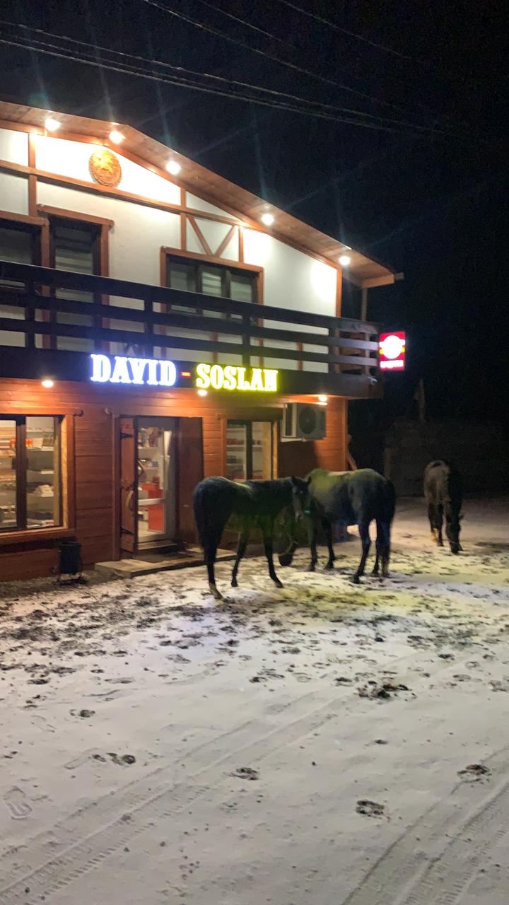 Фото Давид-Сослан