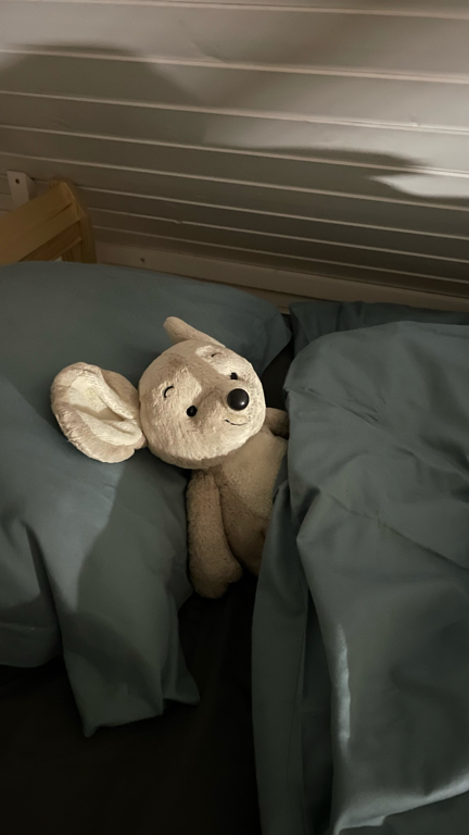 Фото Goose House